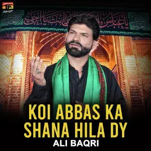 Koi Abbas Ka Shana Hila Dy image