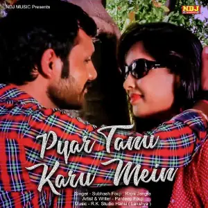 Pyar Tanu Karu Mein image