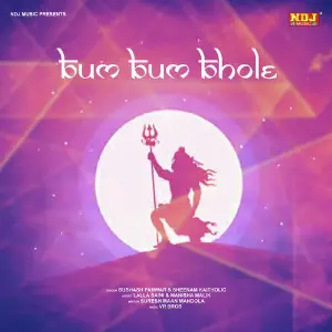 Bum Bum Bhole image