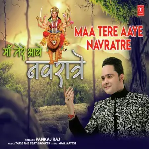 Maa Tere Aaye Navratre image