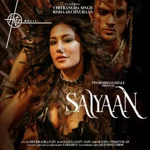 SAIYAAN image