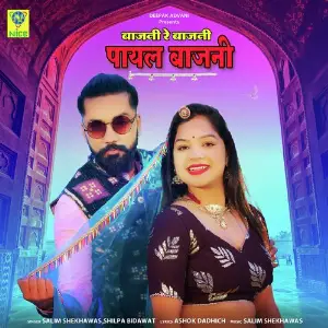 BAJANI RE BAJANI PAYAL BAJANI image