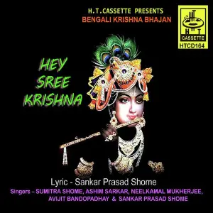 Hey Sree Krishna image