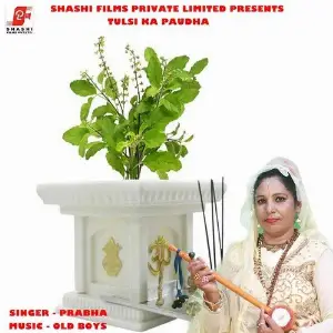 Tulsi Ka Paudha (Karaoke Version) image