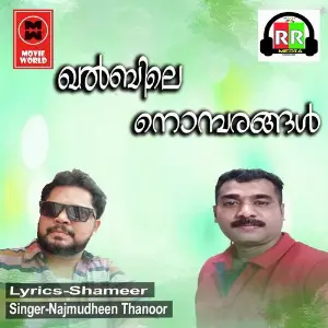 Kalbile Nombaragal image