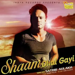 Shaam Dhal Gayi (Feat. Band Pulse) image