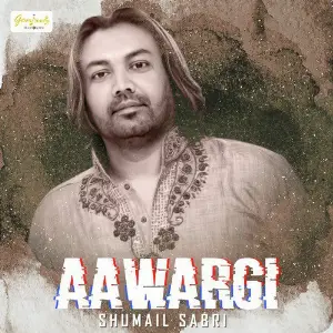 Aawargi - Single image