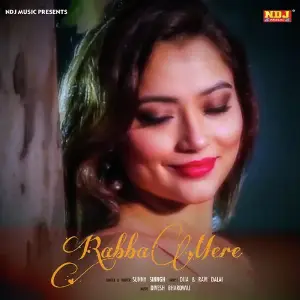 Rabba Mere image