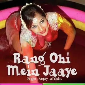 Rang Ohi Mein Jaaye image