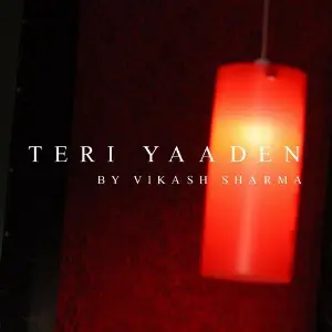 Teri Yaaden image