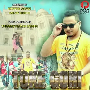 Toke Gori image
