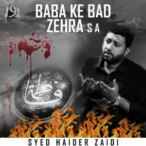 Baba Ke Bad Zehra - Single image