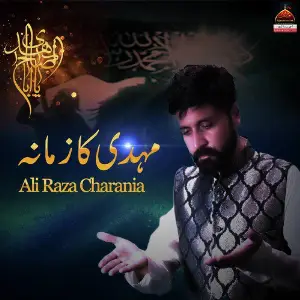 Mehdi  Ka Zamana image