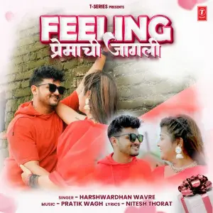 Feeling Premachi Jagali image