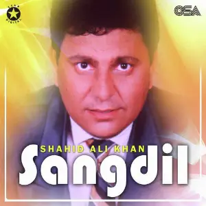 Sangdil image