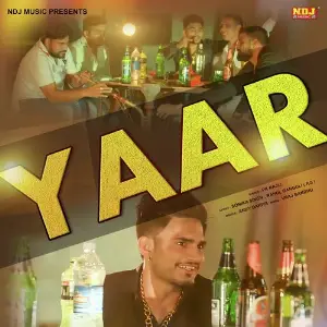 Yaar image