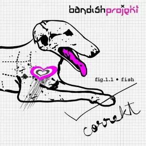 Correkt Bandish Projekt