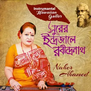 Surer Indrojale Rabindranath (Hawaiian Guitar Instrumental) image