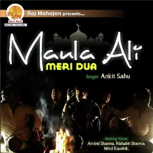 Maula Ali - Meri Dua image
