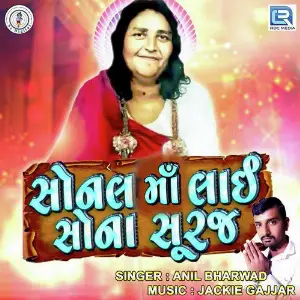 Mogal Aavone Anil Bharwad