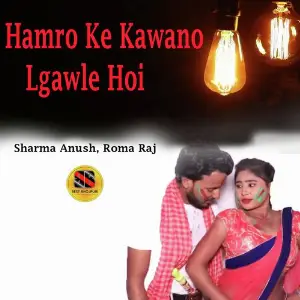 Hamro Ke Kawano Lgawle Hoi image