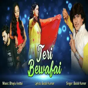 Teri Bewafai image