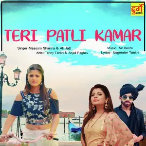 Teri Patli Kamar image