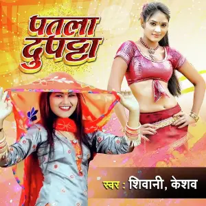 Patla Dupatta image