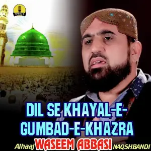 Dil Se Khayal-e-Gumbad-e-Khazra image
