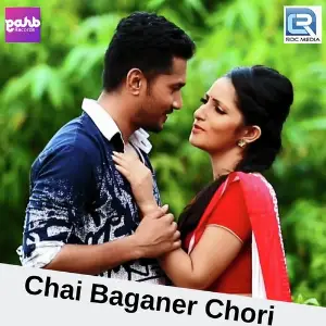 Chai Baganer Chori image