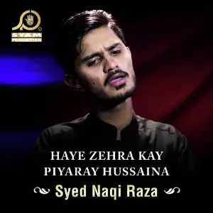 Haye Zehra Kay Piyaray Hussaina - Single image