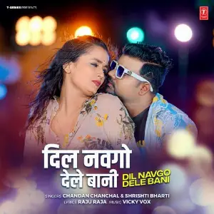 Dil Navgo Dele Bani image