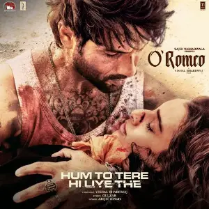 Hum To Tere Hi Liye The (From O Romeo) image