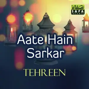 Aate Hain Sarkar image