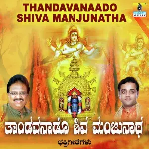 Thandavanaado Shiva Manjunatha image