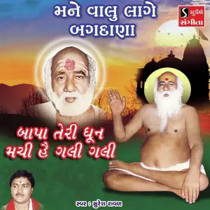 Mane Valu Lage Bagdana image