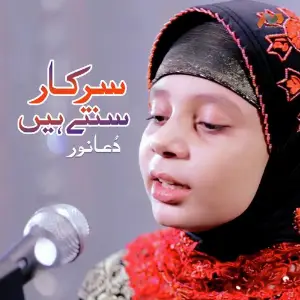 Sarkar Sunte Hain image