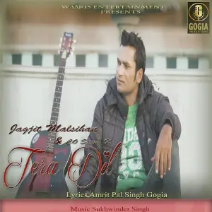 Tera Dil image