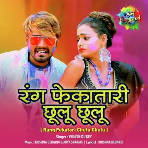 Rang Fekatari Chulu Chulu - Vikash Dubey image