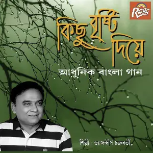 Kichu Bristi Diye image