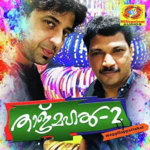 Tajmahal 2 Various Artists