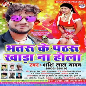 Bhatru Ke Pathru Khara Na Hola image