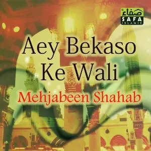 Aey Bekaso Ke Wali image