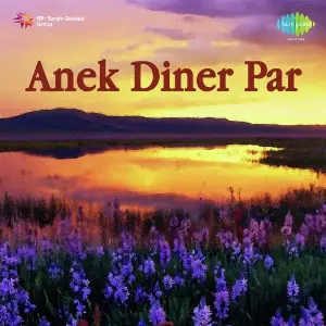 Anek Diner Par image