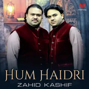 Hum Haidri - Single image