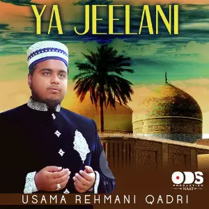 Ya Jeelani - Single image