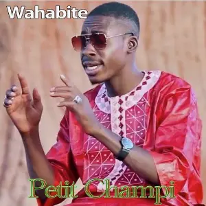 Wahabite image