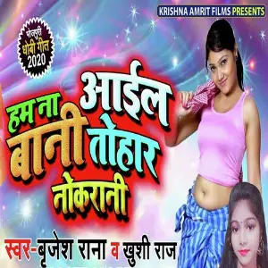 Ham Na Aail Bani Tohar Nokrani image