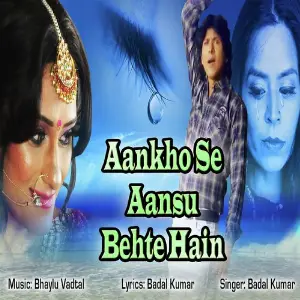 Aankho Se Aansu Bahte Rahe image