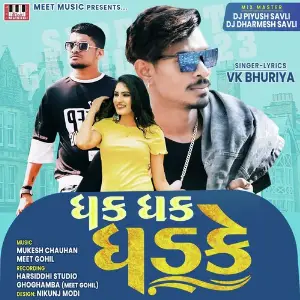 Dhak Dhak Dhadke image